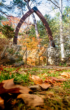 Fall