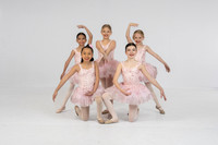 Sugar Plum Fairy