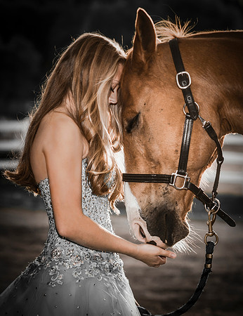 Equestrian Photographer Wisconsin